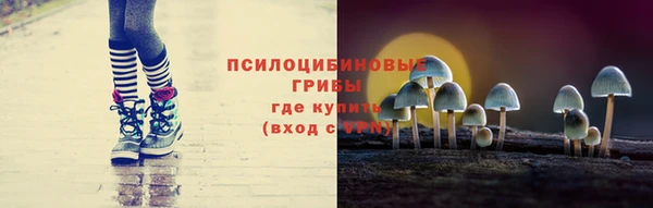 дмт Алзамай