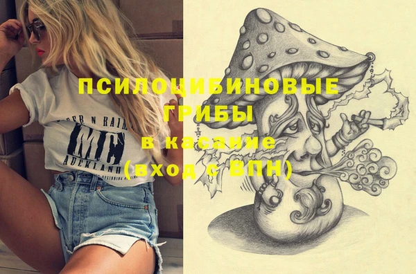 круглые Краснослободск