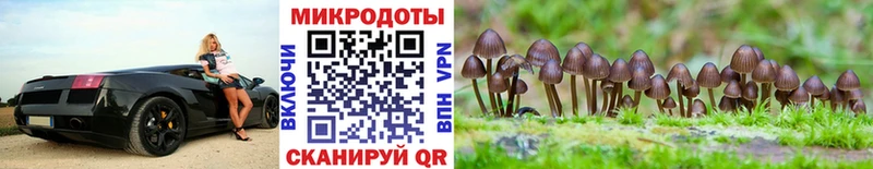 Псилоцибиновые грибы мухоморы  Кудрово 